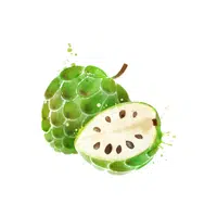 Cherimoya | Tropical Fruits Names in English