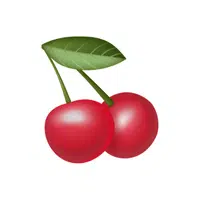 Cherry | WhatsApp Emojis Names in English