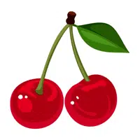 Cherry | Foods Names in English