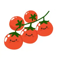 Cherry tomato | Summer Vegetables Names in English