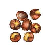 Chestnuts | Healthy Foods Names in English