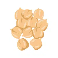 Chickpea | Winter Vegetables Names in English