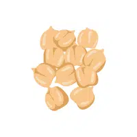 Chickpea | Summer Vegetables Names in English