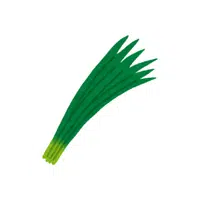 Chive | Winter Vegetables Names in English