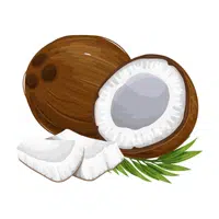 Coconut