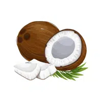 Coconut | Healthy Foods Names in English