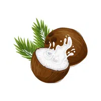 Coconut | Tropical Fruits Names in English