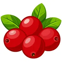 Cranberry | Healthy Foods Names in English