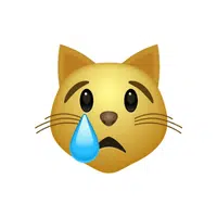 Crying Cat | Emojis Names in English
