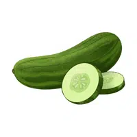 Cucumber