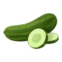 Cucumber
