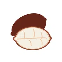 Cupuaçu 