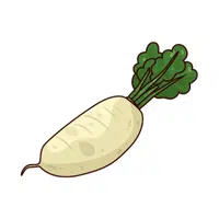Daikon | Winter Vegetables Names in English