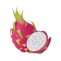 Dragon fruit