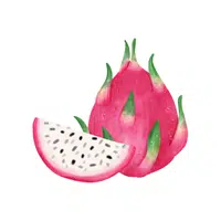 Dragonfruit | Tropical Fruits Names in English