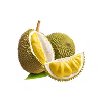 Durian | Tropical Fruits Names in English