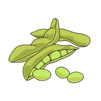 Edamame | Summer Vegetables Names in English