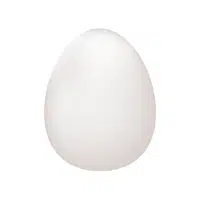 Egg | iPhone Emojis Names in English