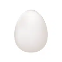Egg | WhatsApp Emojis Names in English