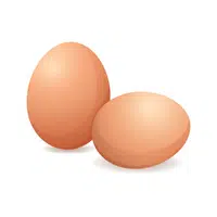 Eggs | Healthy Foods Names in English