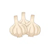 Elephant garlic | Winter Vegetables Names in English