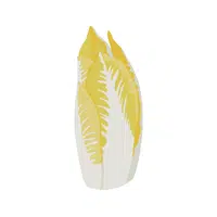 Endive | Summer Vegetables Names in English