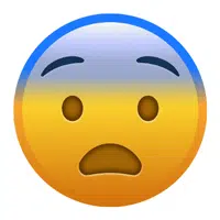 Fearful | Emojis Names in English