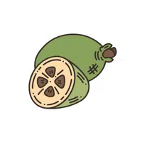 Feijoa | Tropical Fruits Names in English