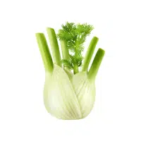 Fennel bulb | Winter Vegetables Names in English