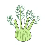 Fennel fronds