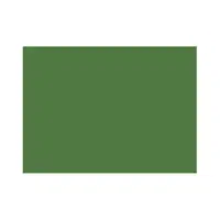 Fern | Colors Names for Kids in English