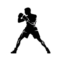 Fighter | Military Vocabulary Words in English