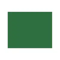 Forest | Colors Names for Kids in English