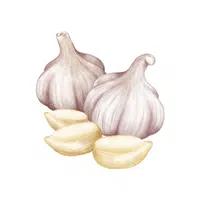 Garlic | Winter Vegetables Names in English