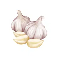 Garlic | Foods Names in English
