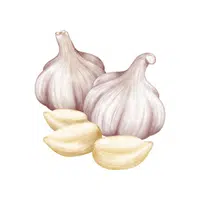 Garlic | Summer Vegetables Names in English