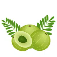 Gooseberry