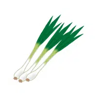 Green onion | Winter Vegetables Names in English