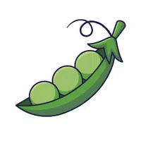 Green pea | Winter Vegetables Names in English