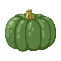 Green pumpkin | Summer Vegetables Names in English