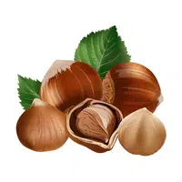 Hazelnuts | Healthy Foods Names in English