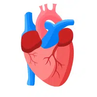 Heart | WhatsApp Emojis Names in English