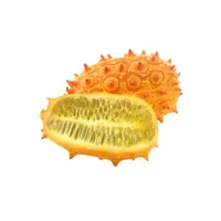 Horned Melon
