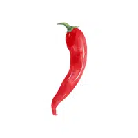 Hot pepper
