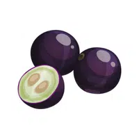 Jaboticaba | Tropical Fruits Names in English