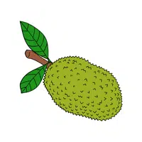 Jackfruit | Tropical Fruits Names in English