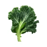 Kale | Winter Vegetables Names in English