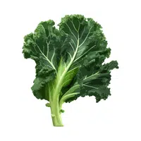 Kale | Healthy Foods Names in English