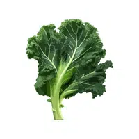 Kale | Summer Vegetables Names in English