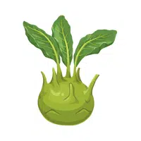 Kohlrabi | Winter Vegetables Names in English